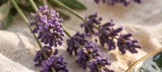 Lavender and linen.