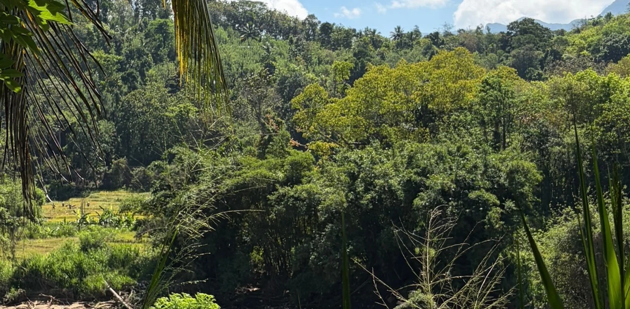 Matale Field Notes