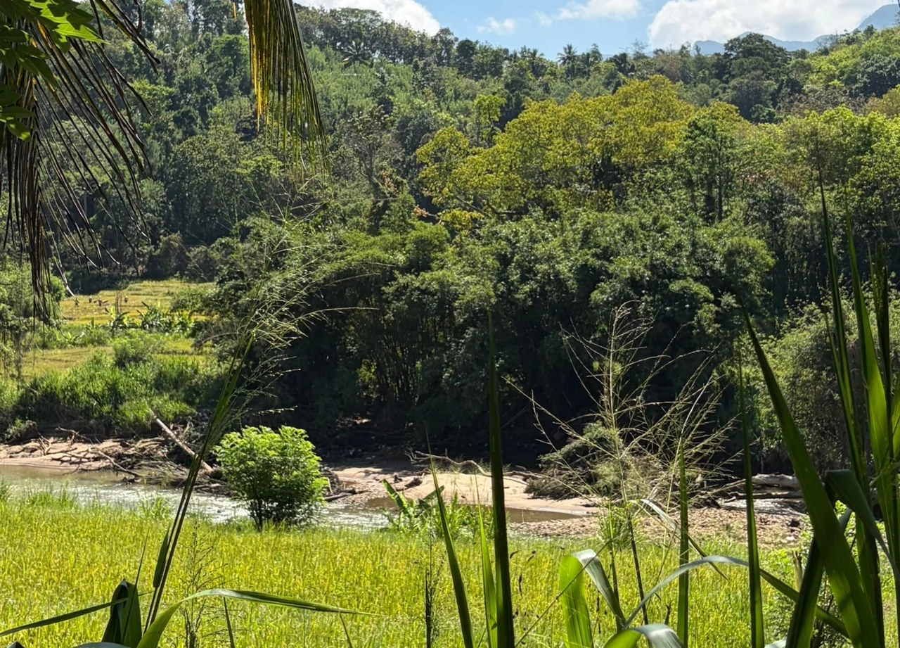 River and surrounding vegetation, Matale.