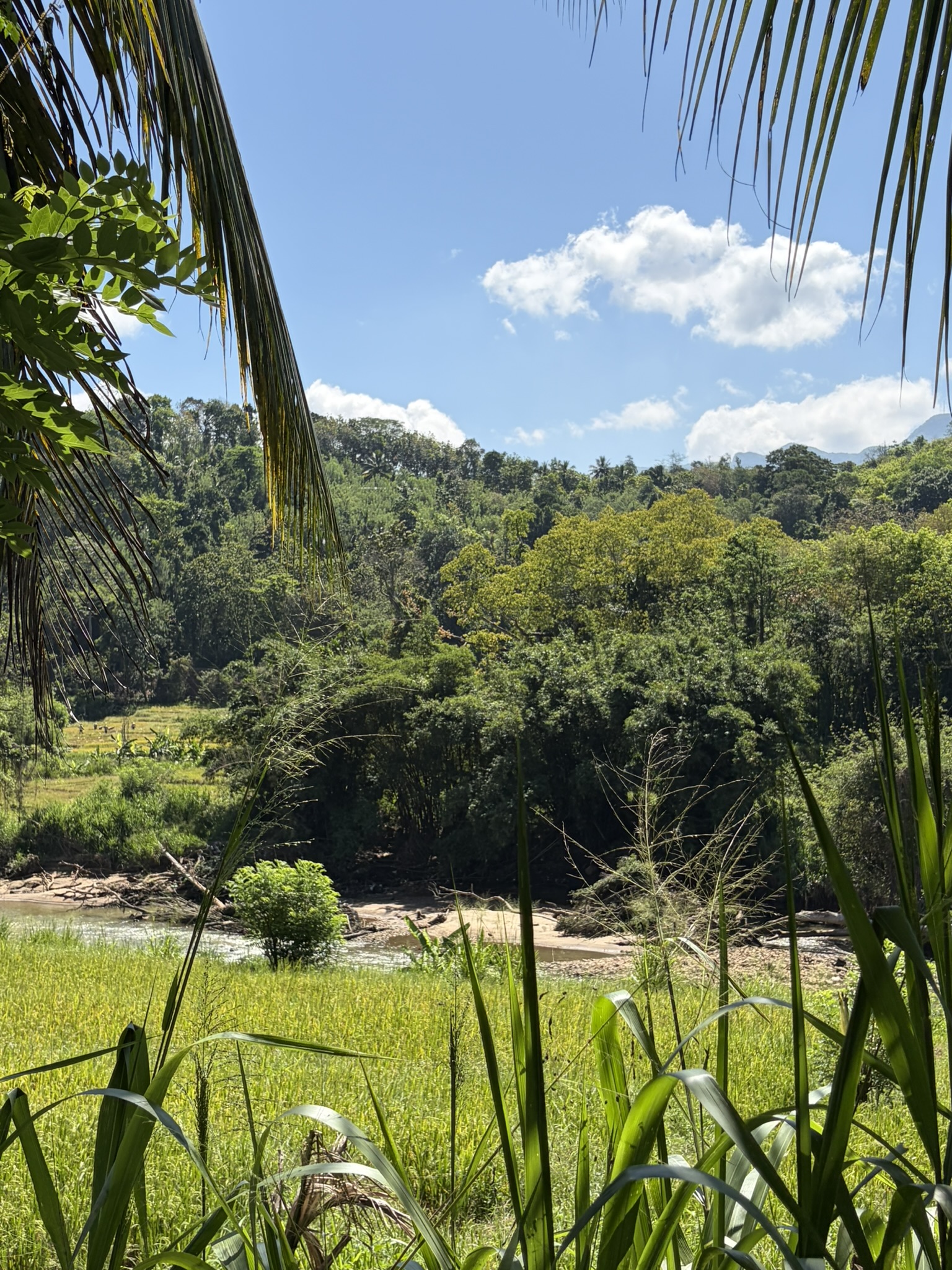 Waterway and fields near the estate