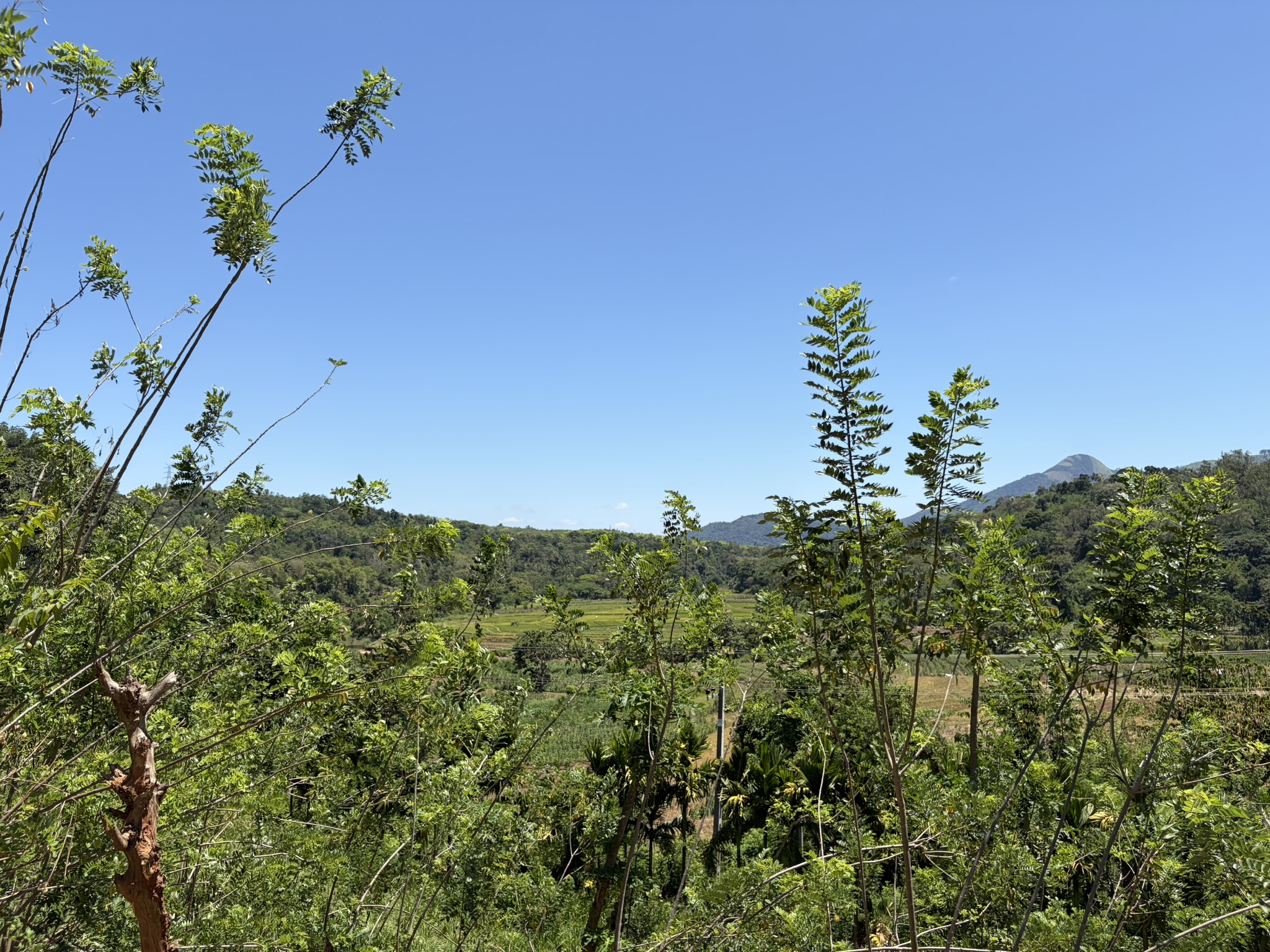 Wide view of agricultural land and hills in Matale